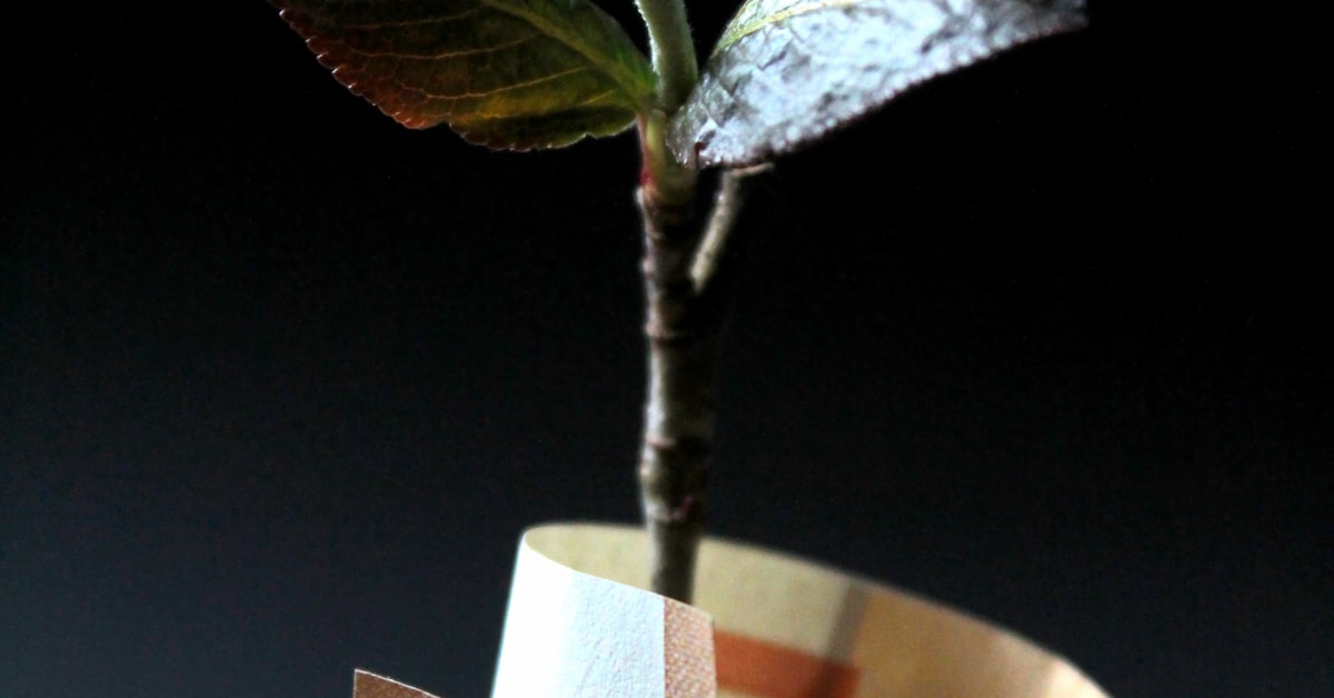 קרנות השתלמות עם התשואה הגבוהה ביותר השנה