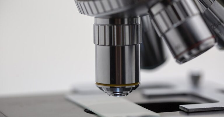 איך לבחור קופת גמל שמתאימה לך אישית?