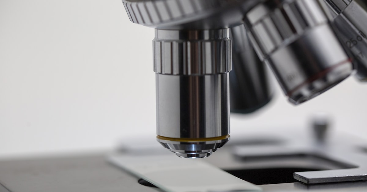 איך לבחור קופת גמל שמתאימה לך אישית?