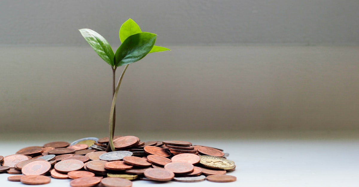 למה רוב האנשים מפסידים כסף בחיסכון ארוך טווח